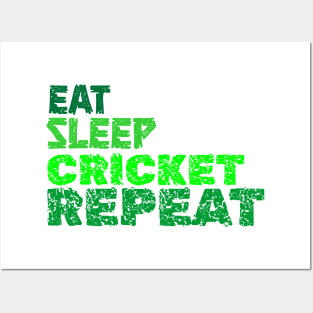 EAT SLEEP CRICKET REPEAT Posters and Art